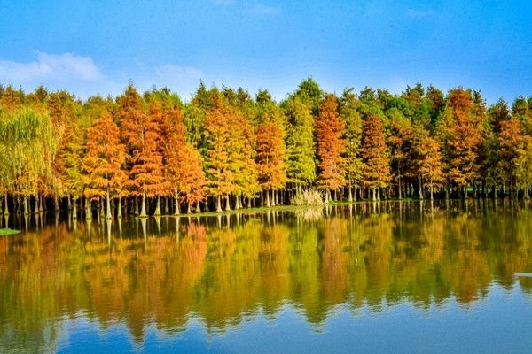 青西郊野公園暴走一天，這裡根本不是普通公園，是藏在城市邊緣的「天然氧吧+童話秘境」，秋冬來剛好！ 