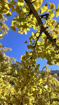 南雄帽子峰不看後悔,11.30無濾鏡!別跑空