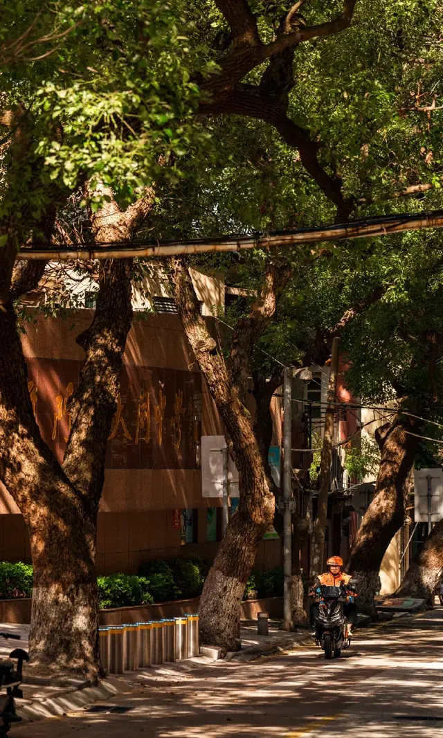 廈門拍照|在陽光鋪滿的信義路看發光的秋天