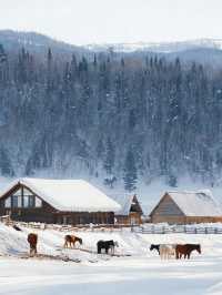 初冬禾木村|雪落圖瓦村落的北疆童話秘境