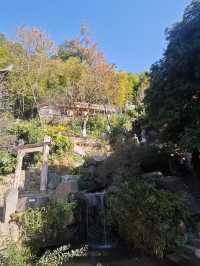 泡在婺源篁嶺景區的一天,治癒感直接拉滿!