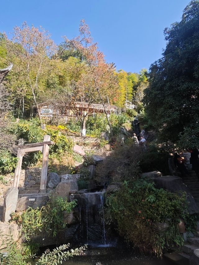 泡在婺源篁嶺景區的一天,治癒感直接拉滿! 泡在婺源篁嶺景區的一天,治癒感直接拉滿!