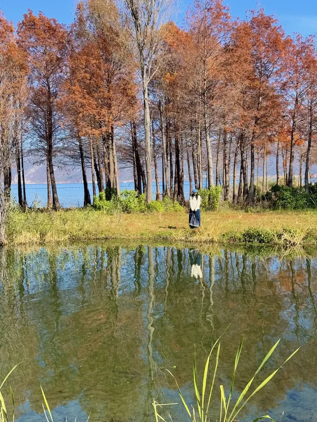 愛回收|來大理直接複製這條洱海一日遊路線! 愛回收|來大理直接複製這條洱海一日遊路線!