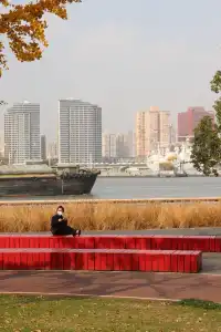 絕了！世博銀杏林真的太好拍了！！