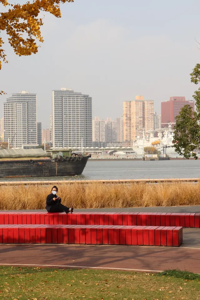 絕了！世博銀杏林真的太好拍了！！