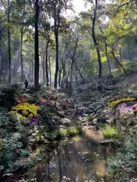 杭州2h直達！一個還在80年代的寶藏小鎮