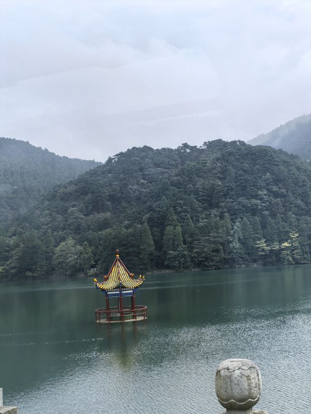 蘆林湖的靜美 蘆林湖的靜美