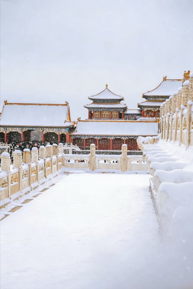 瀋陽故宮的雪太絕了!冬日限定版紅牆白雪,美到窒息! 瀋陽故宮的雪太絕了!冬日限定版紅牆白雪,美到窒息!