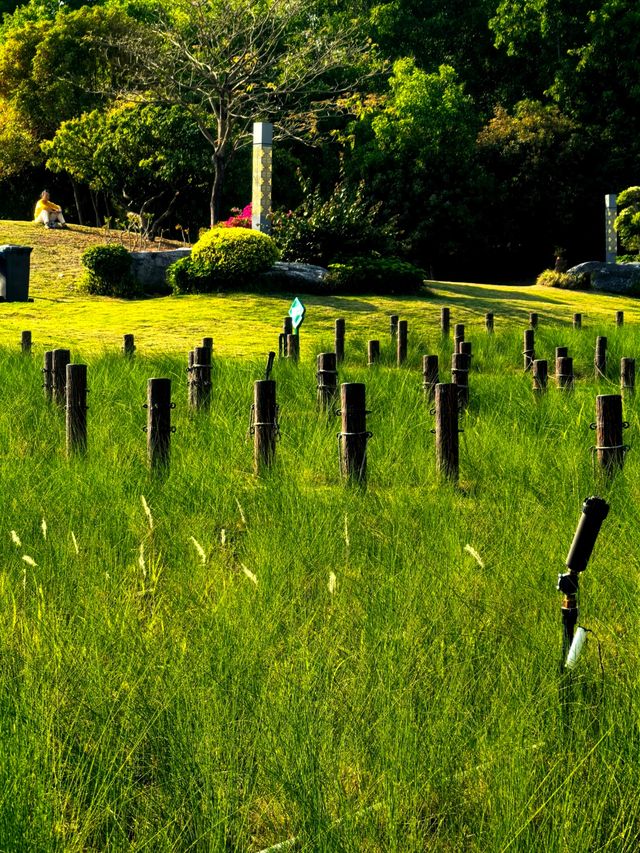 深圳紅花山必打卡古塔 深圳紅花山必打卡古塔