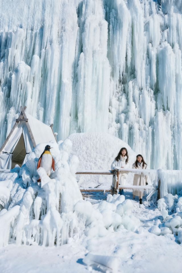 冰掛奇觀親子遊必打卡