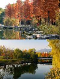 超詳細！清遠桃花湖3天2晚親子遊｜人均幾千搞定神仙度假