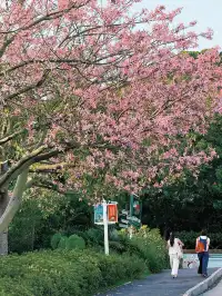 防止你失業後在泉州不知道做什麼（合集）