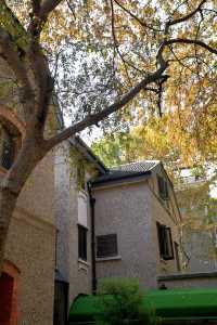 隱居武康路的秋日時光