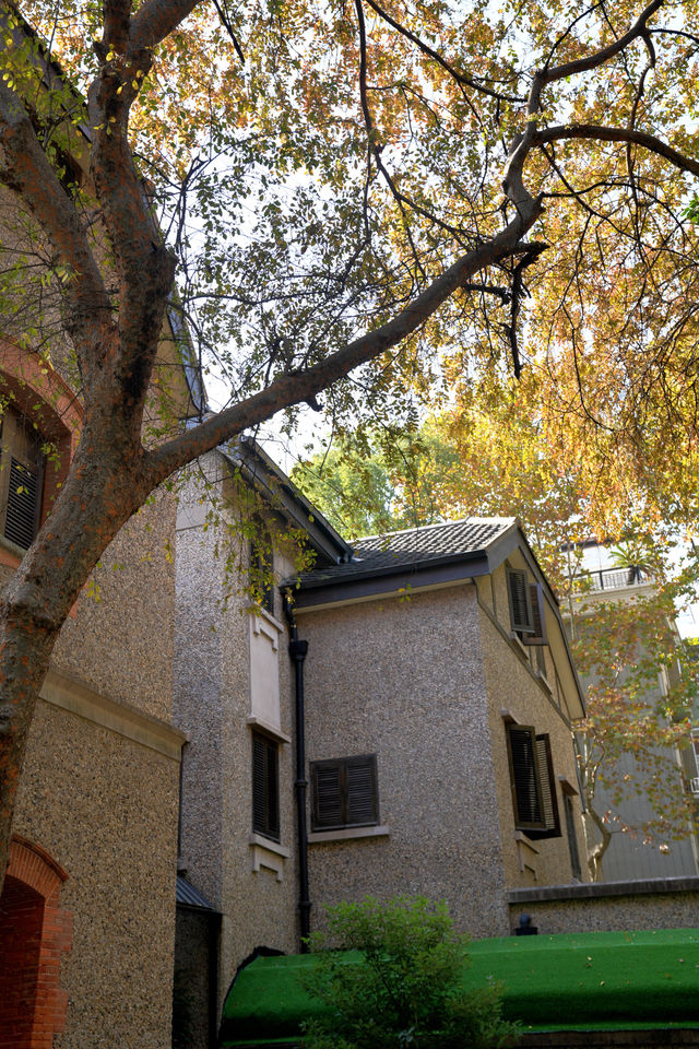 隱居武康路的秋日時光 隱居武康路的秋日時光