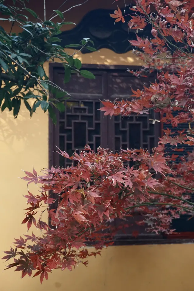 12.6 湖州秋景city walk路線 12.6 湖州秋景city walk路線