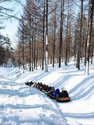 Поездка из Шэньяна занимает 1,5 часа! Насладитесь снежным полем Юлунси на высоте 2000 метров с его захватывающей игрой в «Змею»!
