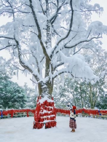 Underrated Snow Play Treasure Near Chengdu