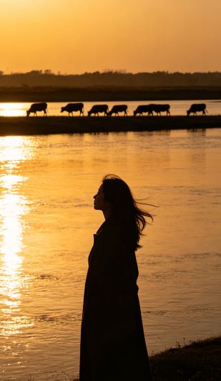 湖南に隠された「草原の童話」！小さな列車に乗って風車を追いかけ、手軽に撮る写真はすべて壁紙に