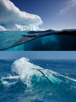 Understand at a Glance: How to Explore Antarctica