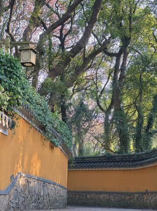 願所求皆如願！普陀山祈福新體驗