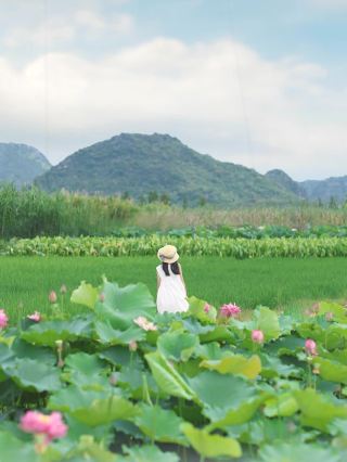 Pu Zhe Hei Family Trip｜Be a Lotus Fairy for a Day in the Lotus Wonderland