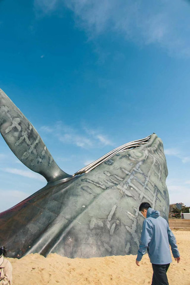 煙台の孤独なクジラ｜深海へ向かう唯一無二のロマンス | Trip.com 煙台