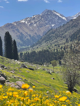 A hidden secret in the mountains of Ili
