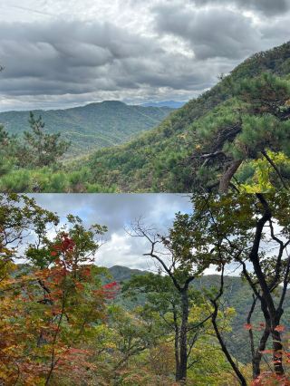 Explore Fushun City, Liaoning Province, and Hemu National Forest Park!