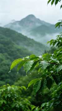 23℃神仙避暑！雞公山暑期遊玩攻略 酷暑難熬，不妨躲進雞公山，這座四大避暑勝地，山林清涼，逃離城市熱