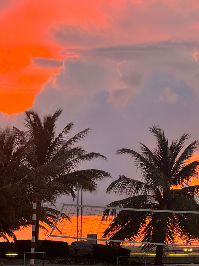 An Unforgettable Vacation