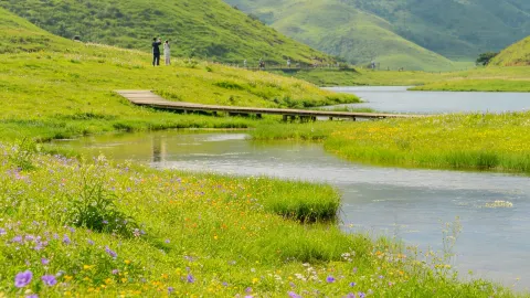 Chenzhou's own "Wizard of Oz" is so soothing — traveler post in Chenzhou