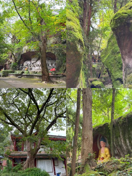 成都周辺の穴場4都市｜高速鉄道で1時間、週末の弾丸旅行に最適