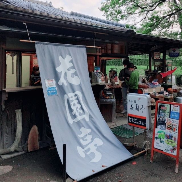 栗林公園　花園亭　焼きたてみたらし団子
