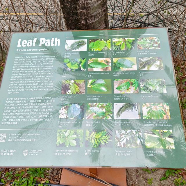 隱藏版玩法！在酒店外黃金海岸自然徑，農莊體驗！