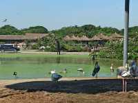 พาครอบครัวมาเที่ยวซาฟารีเวิร์ล 