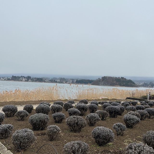 富士河口湖