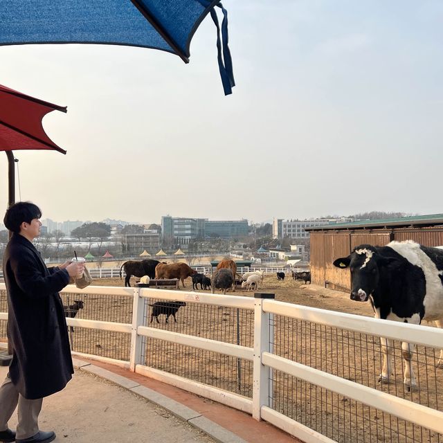 동물과 소통하고 체험이 가능한 곳!! <안성 팜랜드>