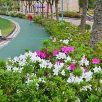 佐敦谷公園打卡絕對一流👍👍👍