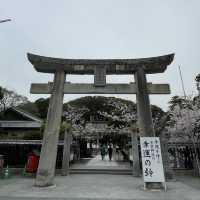【福岡】桜百選西公園にある光雲神社参拝