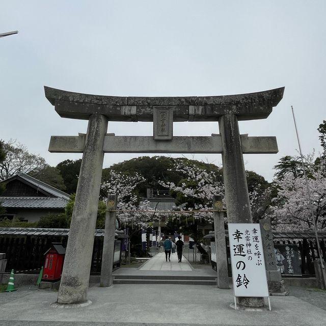 【福岡】桜百選西公園にある光雲神社参拝
