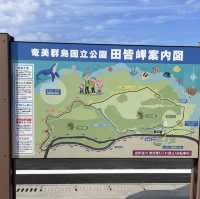 断崖絶壁！！　　田皆岬