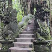Sacred Monkey Forest Sanctuary 🐒