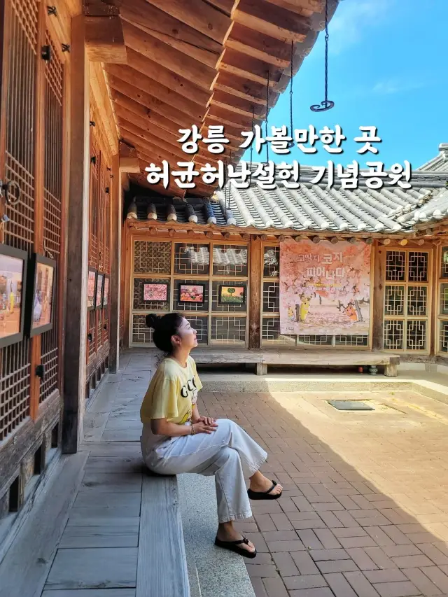 산책하듯 즐기는 강릉 역사 유적지🌳