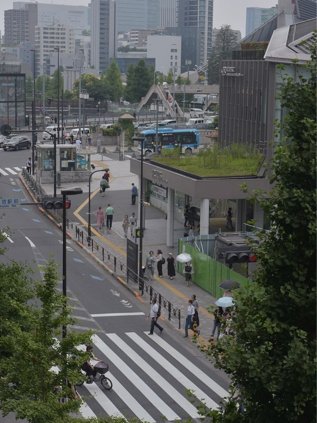 原宿竹下通りウィズ原宿
