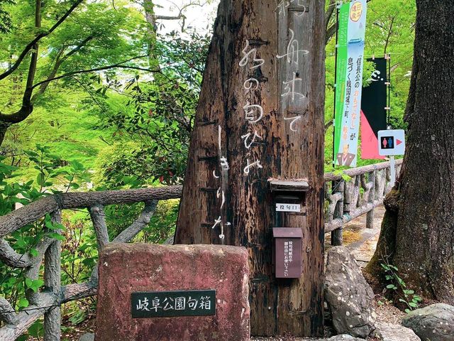 สวนสาธารณะกิฟุ (Gifu Park)🌳🌿