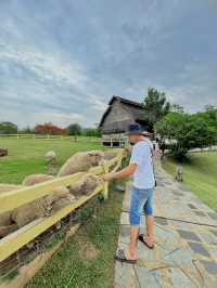 เขาใหญ่ เขาใจ หน้าฝน 🌳🌱
