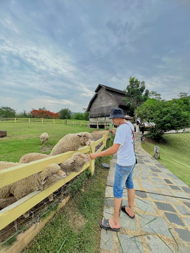 เขาใหญ่ เขาใจ หน้าฝน 🌳🌱