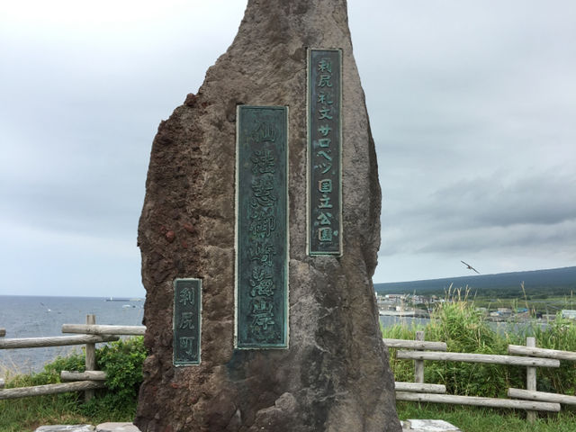 北海道　北海道観光　利尻島の絶対外せない観光スポット 仙法志御崎公園でアザラシに会ってきた！