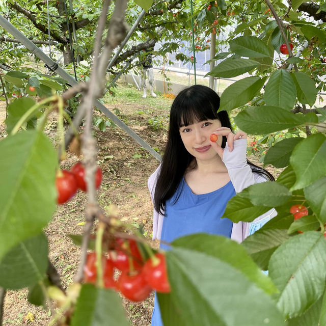 お宿　山翠のアクティビティ