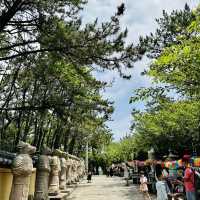 環繞山與海邊的寺廟 - 海東龍宮寺